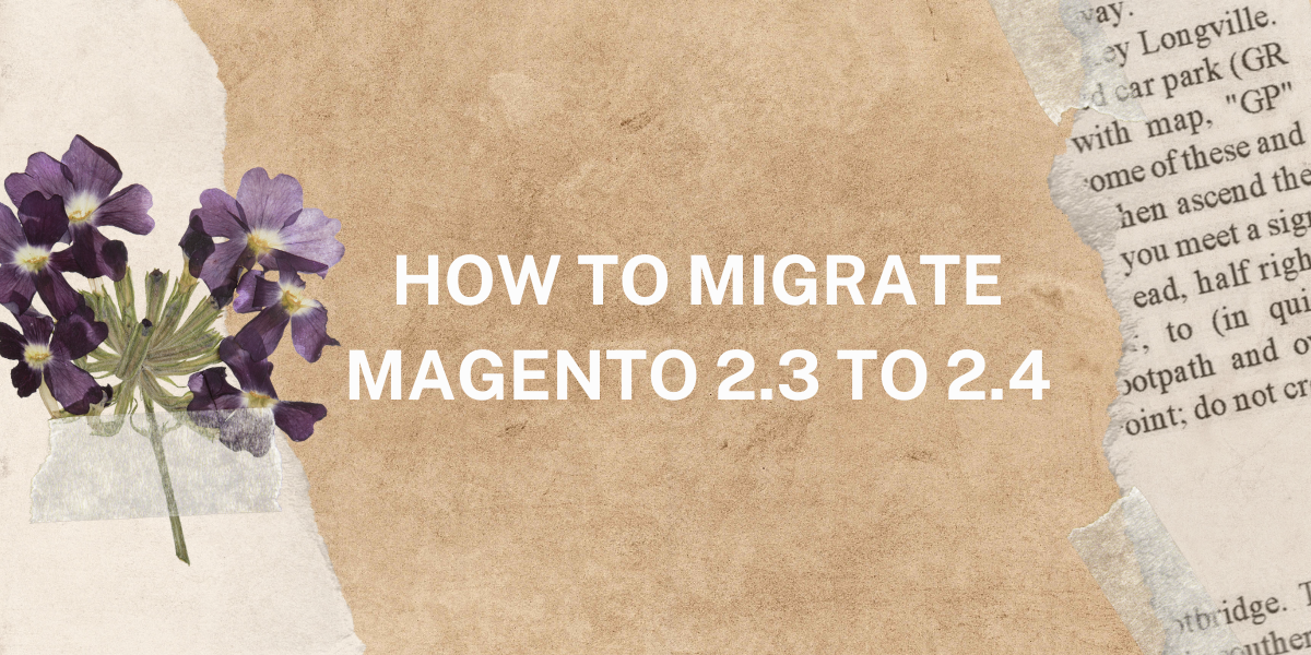 Read more about the article How to Migrate Magento 2.3 to 2.4