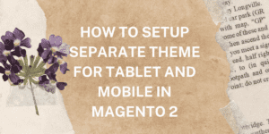Read more about the article How to Setup Separate themes for Desktop and Mobile in Magento 2
