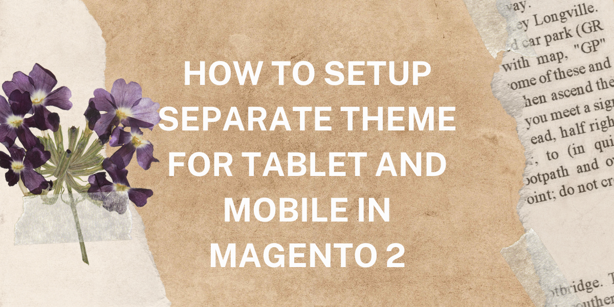 Read more about the article How to Setup Separate themes for Desktop and Mobile in Magento 2