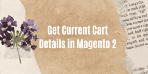 Read more about the article Get Current Cart Details in Magento 2