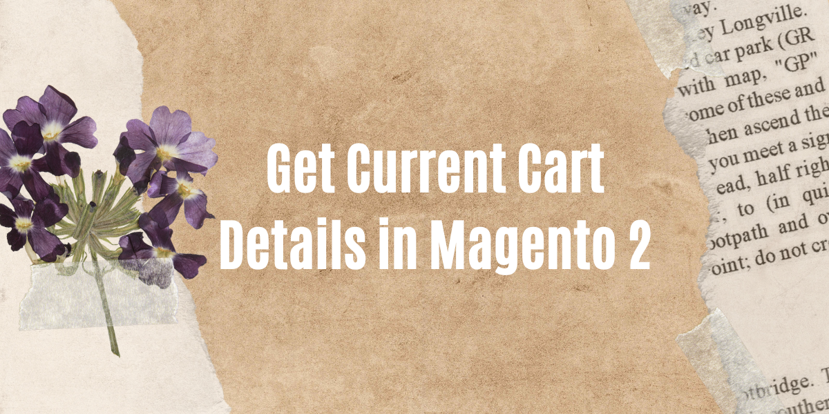 Read more about the article Get Current Cart Details in Magento 2