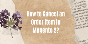Read more about the article How to Cancel an Order Item in Magento 2?