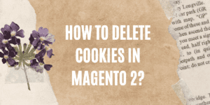 Read more about the article How to Delete Cookies in Magento 2?